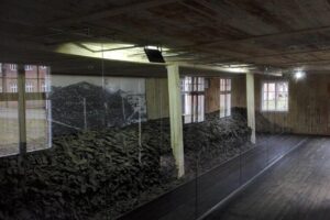 Stutthof Concentration Camp Regular Tour from Gdansk - At Stutthof: What You’ll Actually See and Why It Matters